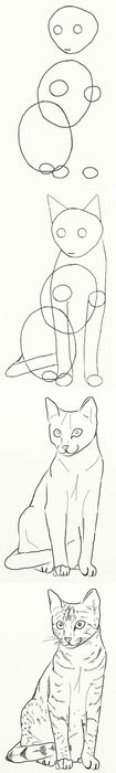 Kā izdarīt kaķi posmos ar zīmuli?