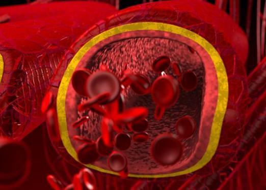 Kas palielina balto asins šūnu daudzumu asinīs?